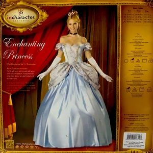 Cinderella Costume Set - Enchanting Princess